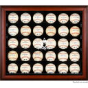 【公式グッズ】MLB マーリンズ コレクタブル用ケース Fanatics ファナティクス オーセンティック (DISP3001042019)