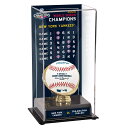 MLB ヤンキース コレクタブル用 野球ボールケース（ボール無し） Fanatics（ファナティクス） (DISPBW01042019)