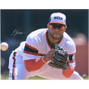 MLB zCg\bNX AEJ_ MTC tHg i16x20j Fanaticsit@ieBNXj (AUT 16x20 PHOTO 522022)