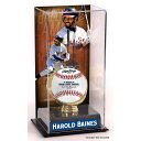 Commemorate a Chicago White Sox legend with this Harold Baines sublimated display case with an image. It showcases the H...