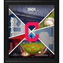 Each collectible comes with a collage of images and a piece of game used baseball (not from any particular game or season).The piece of baseball was obtained under the auspices of the MLB Authentication Program and can be verified by its numbered hologram at MLB.com. It is officially licensed by Major League Baseball. It measures 15'' x 17'' x 1'' and comes ready to hang in any home or office. This collectible is a limited edition of 500.Made in the USAThis item is non-returnableGame Used collectibleBrand: Fanatics AuthenticOfficially licensedComes with a hologram