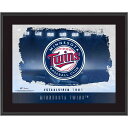 MLB ツインズ コレクタブルフォト Fanatics（ファナティクス） (UNS TP22BB PLAQUE 011423)