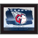 【公式グッズ】MLB インディアンス コレクタブルフォト Fanatics Authentic/ファナティクスオーセンティック (UNS TP22BB PLAQUE 011423)