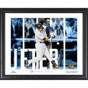 MLB ヤンキース デレク・ジーター 球場の土（試合日採取） Fanatics（ファナティクス） (Jeter 16x20 Collage GU Dirt)