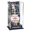 MLB ヤンキース ネストル・コルテスJr. コレクタブル用 野球ボールケース（ボール無し） Fanatics（ファナティクス） (UNS TALL BASEBALL DISPLAY CASE 44760)