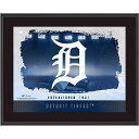 【公式グッズ】MLB タイガース コレクタブルフォト Fanatics Authentic/ファナティクスオーセンティック (UNS TP22BB PLAQUE 011423)