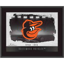 【公式グッズ】MLB オリオールズ コレクタブルフォト Fanatics Authentic/ファナティクスオーセンティック (UNS TP22BB PLAQUE 011423)