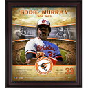 Each collectible comes with a collage of images and a descriptive text framed in black wood. The product is officially licensed by Major League Baseball. It measures 15" x 17" x 1" and is ready to hang in any home or office.Brand: Fanatics AuthenticMade in the USAFramed collageOfficially licensed