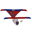 エントリーでポイント 5倍【公式グッズ】MLS ソルトレイク ペット用品 Little Earth (LEP F22 Pet Bandana Set)(4)