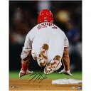 MLB G[X }CNEgEg MTC tHg i16x20j Fanaticsit@ieBNXj (AUT 16x20 PHOTO 45282)