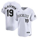 MLB bL[Y `[[EubN ~ebh jtH[ Nike iCL Y zCg (2024 Nike Men's Limited Player Jerseys - FTF NTP Master Style)