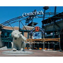 Commemorate an unforgettable moment for Detroit Tigers fans with this Comerica Park Front Entrance Photograph. Whether d...