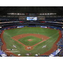 【公式グッズ】MLB ブルージェイズ コレクタブルフォト Fanatics(ファナティクス) (MLB Stadium Photo 22 32621)