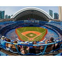 【公式グッズ】MLB ブルージェイズ コレクタブルフォト Fanatics(ファナティクス) (MLB Stadium Photo 23 32621)