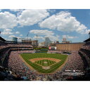 Commemorate an unforgettable moment for Baltimore Orioles fans with this Oriole Park at Camden Yards Stadium Photograph. Whether displayed in your home or office, it's the perfect way to highlight your passion for the Baltimore Orioles for years to come.Officially licensedBrand: Fanatics Authentic
