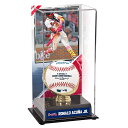 MLB ブレーブス ロナルド・アクーニャJr. コレクタブル用 野球ボールケース（ボール無し） Fanatics（ファナティクス） (UNS TALL BASEBALL DISPLAY CASE 482022)