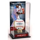 The acrylic display case comes with an image, a sublimated plate and a black acrylic base with a gold colored glove. It also features a clear acrylic removable lid. This officially licensed case measures 10" x 5" x 5.5". Memorabilia not included.Officially licensedMemorabilia sold separatelyOfficially licensed by MLBMade in the USAMeasures 10'' x 5'' x 5.5''Brand: Fanatics Authentic