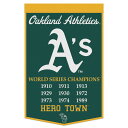 MLB AX`bNX yig EBNtg (24X38 Wool Banner-Championship)