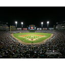 【公式グッズ】MLB ホワイトソックス コレクタブルフォト Fanatics(ファナティクス) (Photo 8 4282021)
