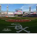 【公式グッズ】MLB ホワイトソックス コレクタブルフォト Fanatics(ファナティクス) (Photo 9 4282021)