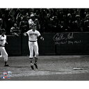 【MLB公式ホログラム付】MLB レッドソックス カールトン・フィスク 直筆サイン フォト (16x20) Fanatics(ファナティクス) (16x20 Aut Photo MLB)