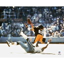 【公式グッズ】NFL スティーラーズ リン・スワン コレクタブルフォト Fanatics(ファナティクス) (NFL Unsigned Catch Photo ...