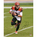 【公式シリアル番号付き】NFL ベンガルズ ジョー・バロー 直筆サイン フォト (16x20) Fanatics(ファナティクス) (AUT 16x20 PHO...