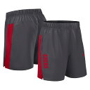【公式グッズ】NFL 49ers ハーフパンツ Nike ナイキ メンズ グレイ (25 Men's Nike Primetime Dri-Fit Victory Woven Shorts)
