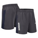 【公式グッズ】NFL カウボーイズ ハーフパンツ Nike ナイキ メンズ グレイ (25 Men's Nike Primetime Dri-Fit Victory Woven Shorts)