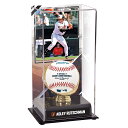 MLB オリオールズ アドリー・ルッチマン コレクタブル用ケース Fanatics ファナティクス オーセンティック (UNS DISPLAY CASE 44747)