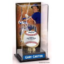 MLB メッツ ゲイリー・カーター コレクタブル用ケース Fanatics ファナティクス オーセンティック (UNS TALL DISPLAY CASE 44789)