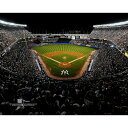 MLB ヤンキース コレクタブルフォト Fanatics（ファナティクス） (Photo 2 322021)