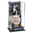 MLB u[Y NX`ECFb` MTC {[ Fanaticsit@ieBNXj (AUT BASEBALL WITH DISPLAY CASE 482022)