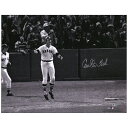 【MLB公式ホログラム付】MLB レッドソックス カールトン・フィスク 直筆サイン フォト Fanatics ファナティクス オーセンティック (Auto 16x20 Photo 03082021)