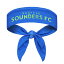 MLS サウンダーズFC ヘッドバンド Vertical Athletics レディース ブルー (BBH S21 Alt Logo Tieback Headband)