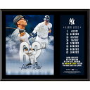 MLB ヤンキース アーロン ジャッジ コレクタブルアイテム（プラーク） Fanatics（ファナティクス） (UNS PLAQUE 91422 - BB HM)