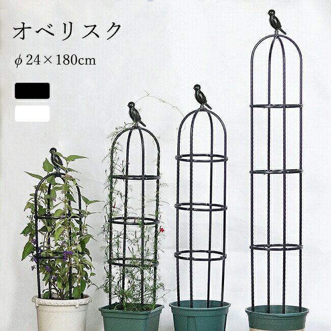 オベリスク 支柱 トレリス 高さ調節可 ブラック ホワイト Φ24×120cm Φ24×150cm Φ24×180cm Φ29×120cm Φ29×150cm Φ29×180cm