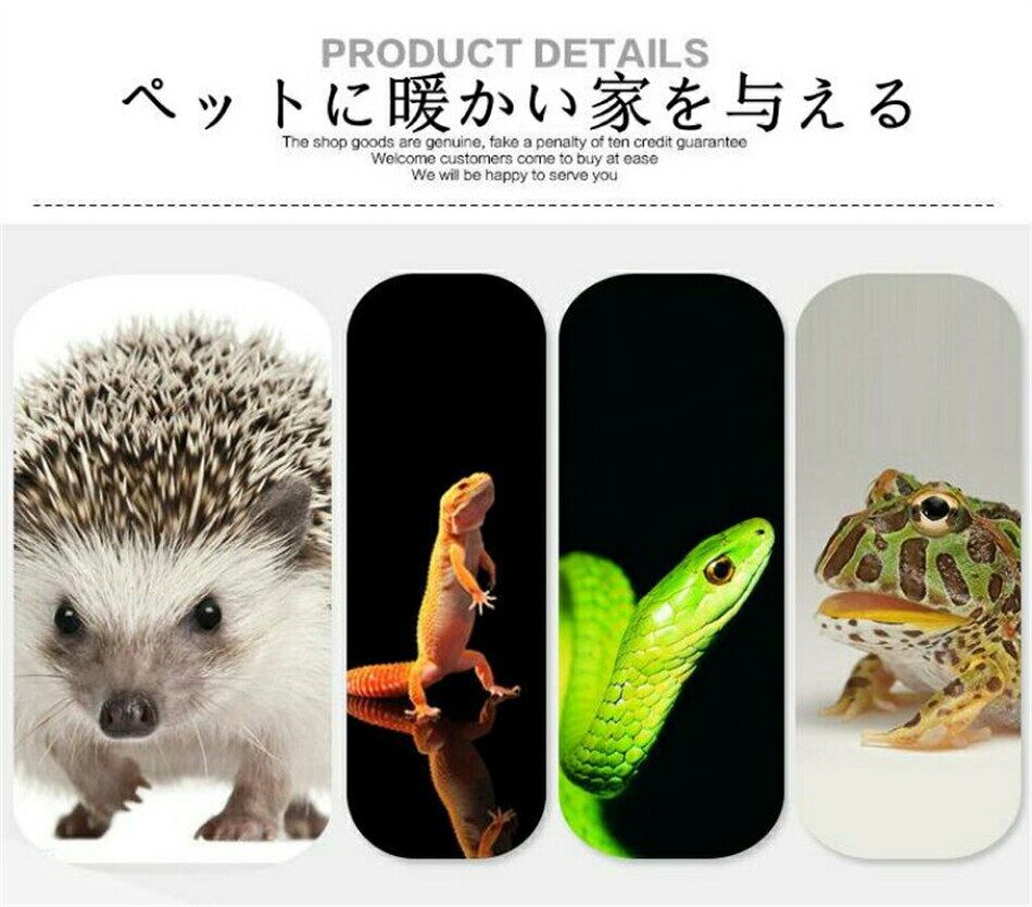 FANCアカデミー 楽天市場店の爬虫類飼育爬虫類、両生類、小動物ケージ 亀トカゲヘビ飼育ボックス 爬虫類 ケース 小動物ハウス お手入れ簡単 バードケージ爬虫類飼育ケージ ケージ 保温ケース｜アングル3