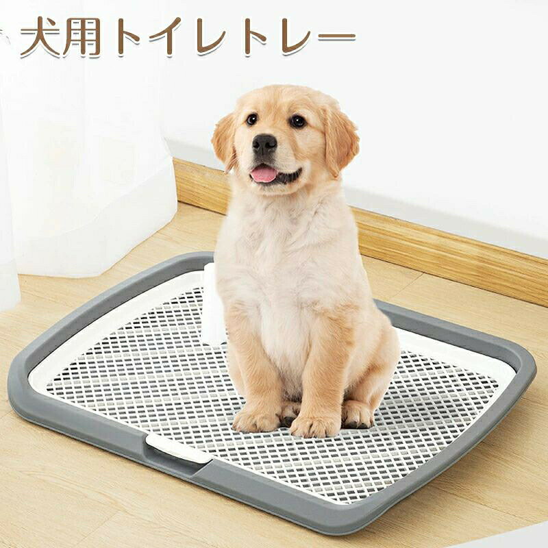 色差 明商品の色は、撮影時の光や、お客様のモニターの色具合などにより、実際の商品と異なる場合がございます。あらかじめ、ごください。色差 明商品の色は、撮影時の光や、お客様のモニターの色具合などにより、実際の商品と異なる場合がございます。あらかじめ、ごください。犬 トイレトレー ワイド 小型犬 中型 犬用品 トイレ用品 トレー トイレ容器 特集 グレー グリーン ネイビー イエロー パープル