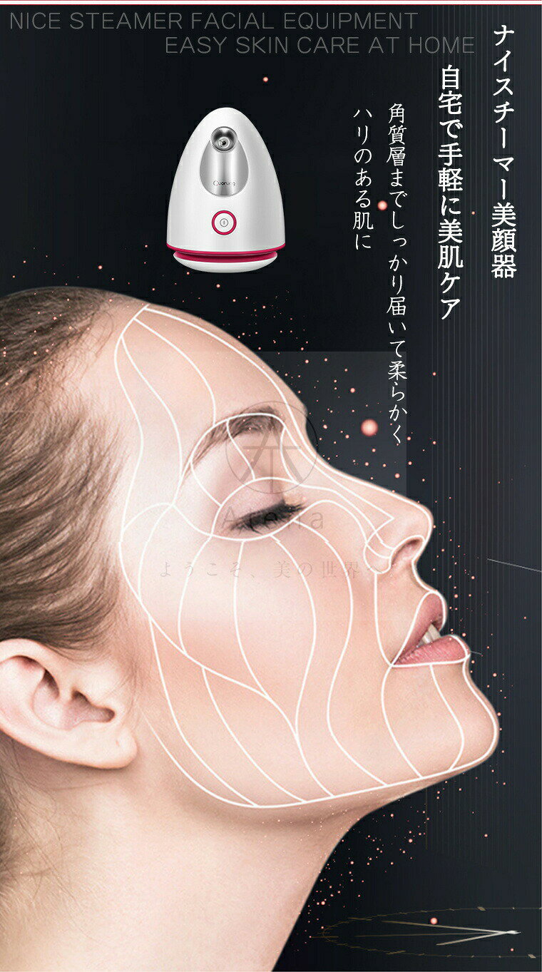 加湿器 秋冬向け フェイス スチーマー 水分補給 スチーマー美顔器 ナノケア保湿 卓...
