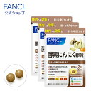 13時までのご注文【あす楽対応】 トキワ大蒜人参 にんにくにんじん 90粒 6個 常盤薬品 ノエビアグループ トキワ 大蒜人参 旧 若延