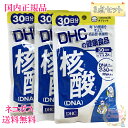 ≪お得な3点セット≫【国内正規品・全国送料無料・ネコポス発送】DHC 核酸（DNA）90日分 (30日分×3袋セット) 賞味期限2026年9月以降 健康食品