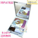 【国内正規品・ネコポス送料無料】POLA ポーラ ディエム クルール カラーブレンドパウダーコンシーラー 5g×2(パウダー状のコンシーラー&チーク)
