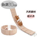 小動物 鳥 はしご 60cm ハムスター 木 階段 変形 遊び場 曲がる 長い ジャンガリアン ゴールデン ラット 隠れ家 ハウス 天然木 梯子(4)