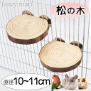 【2個セット】 チンチラ デグー モルモット モモンガ ステップ ステージ インコ 鳥 止まり木 日本製 丸太 足場 階段 大きめ 丸い 丸型 松の木 遊び場 皮付き かじり木 小型 中型インコ オカメインコ オウム 小動物 鳥 マツ
