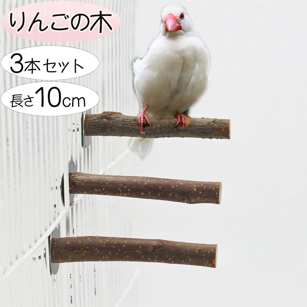 楽天市場】庭 ステップ 階段（止まり木｜鳥用品）：ペット
