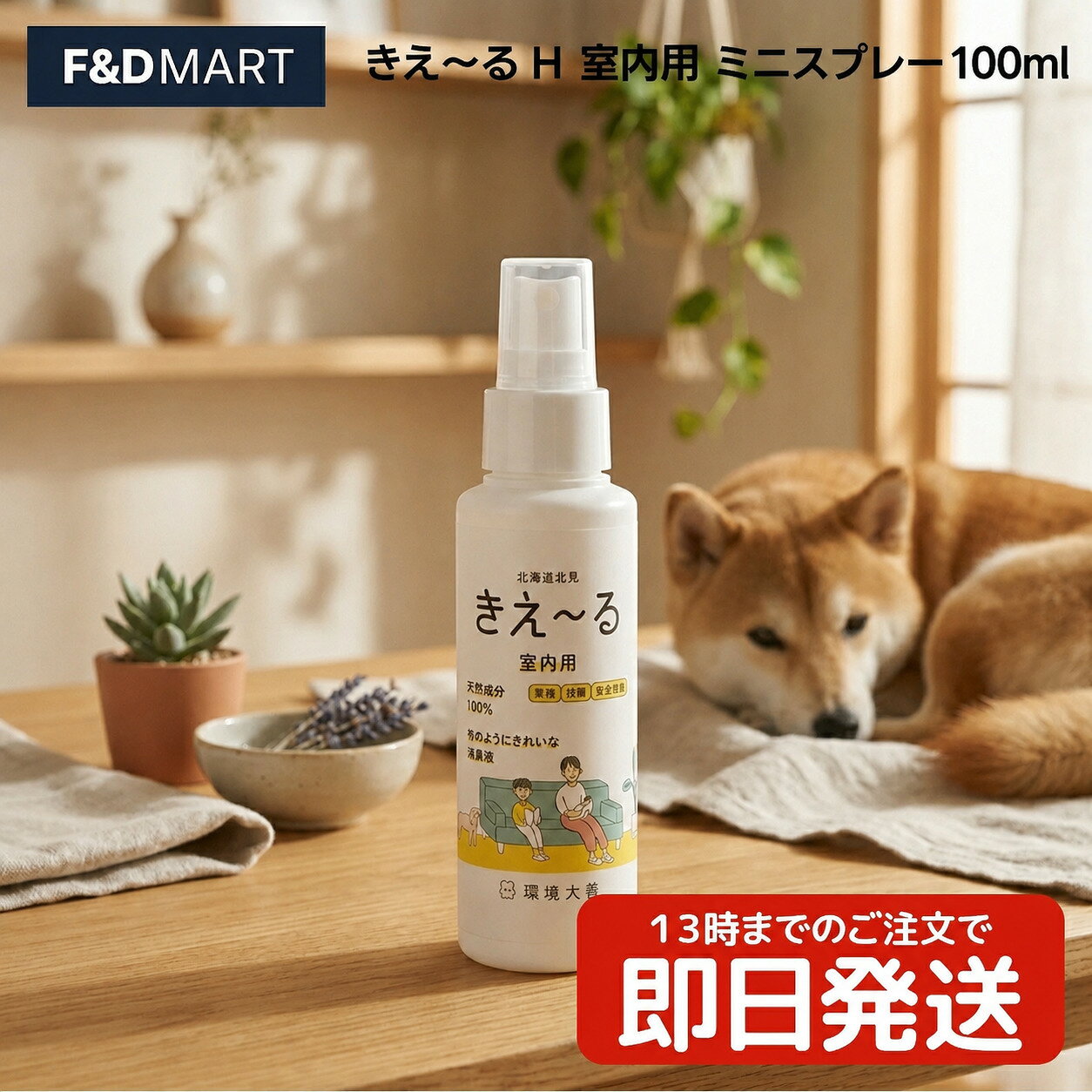 環境大善 きえ〜る Dシリ〜ズ 洗濯用 消臭液 詰替用 1L x5個 犬 猫 小動物 ペット 衣類 布製品 消臭 液体 無香 日本製 天然成分 善玉活性水 詰め替え用 大容量 ランドリ〜 ケア用品