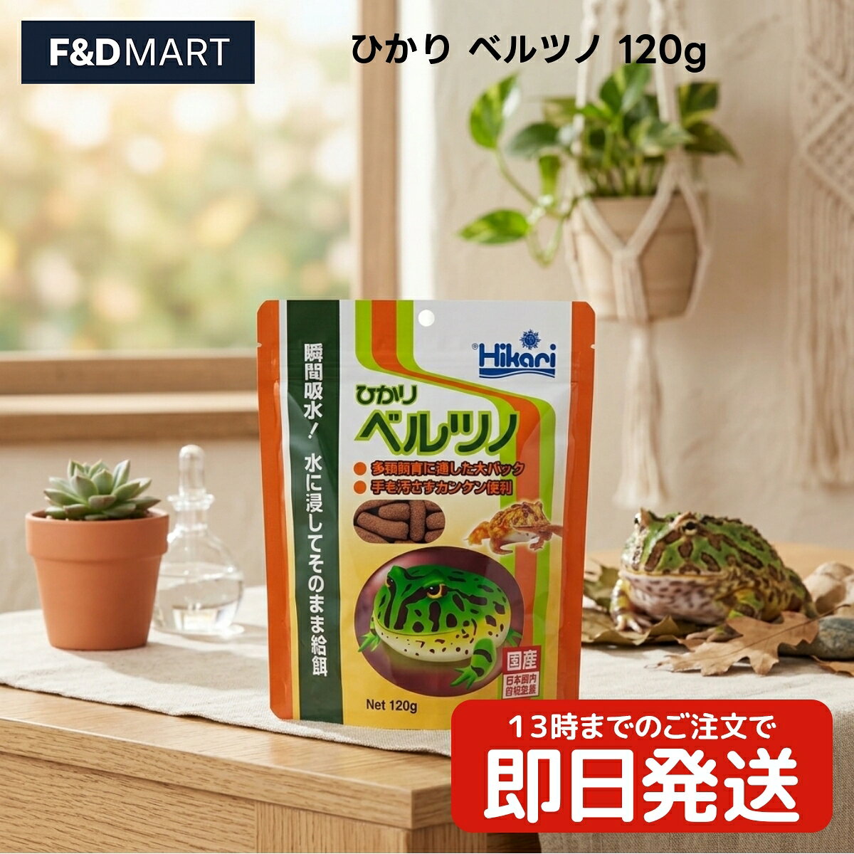 楽天市場】ベルツノガエル 練り餌の通販