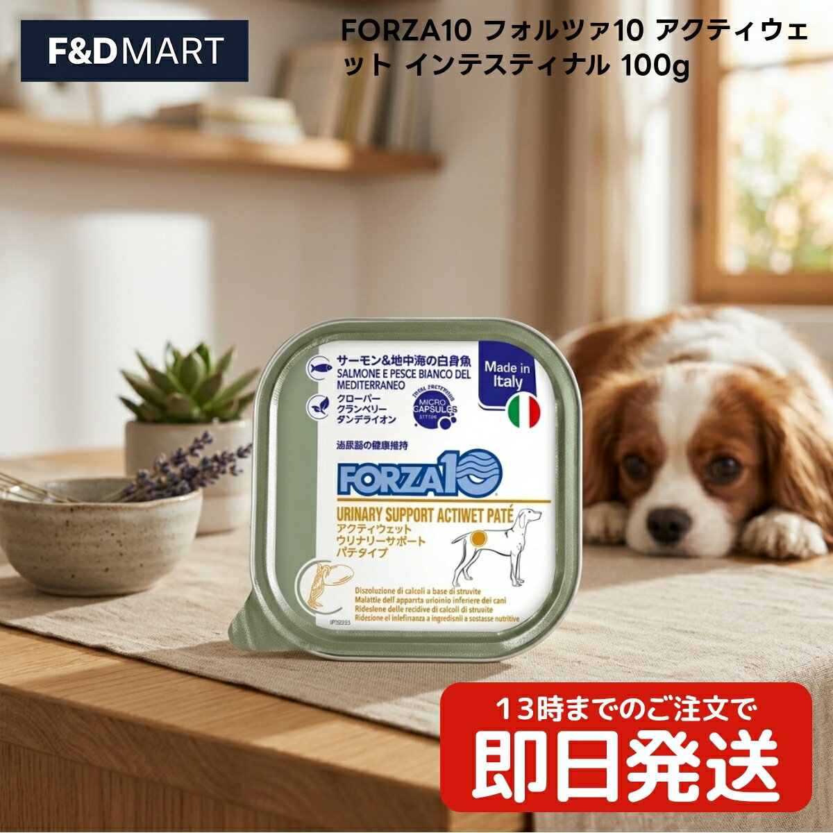Rakuten - FORZA10 フォルツァ10 アクティウェット インテスティナル 100g x10個 成犬用 ウェットフード ドッグフード イタリア産 パテタイプ サーモン 魚 鶏肉 豚レバー フィトケミカル