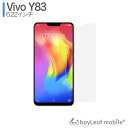 Vivo Y83 フィルム 在庫処分セール ガ